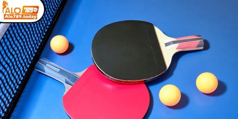 Danh sách kèo cá cược bóng bàn phổ biến tại Alo789